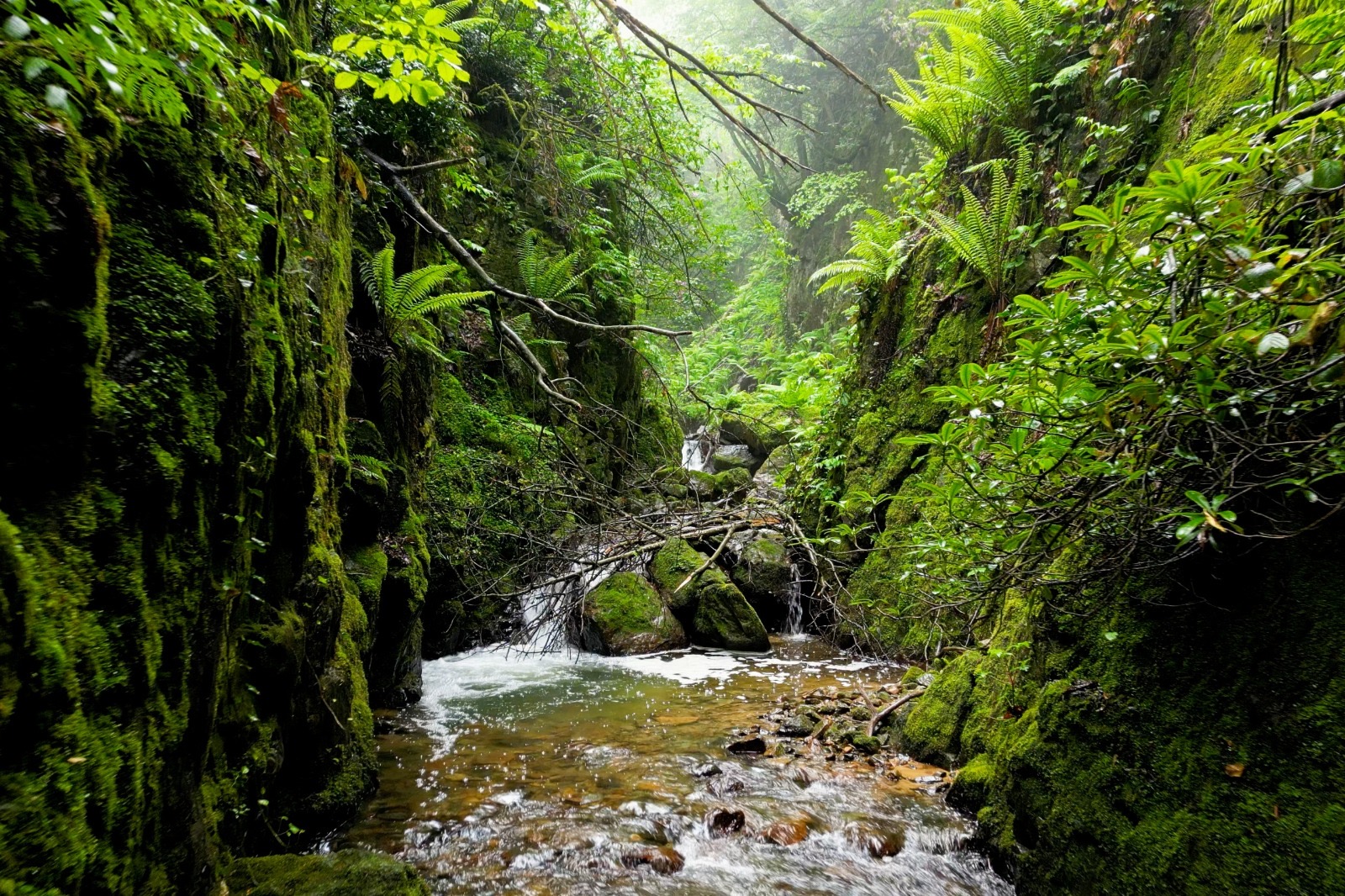 Trabzon Ortahisar Belediyesi