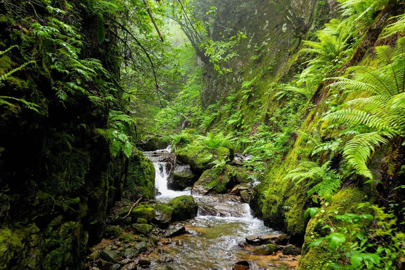 Trabzon Ortahisar Belediyesi