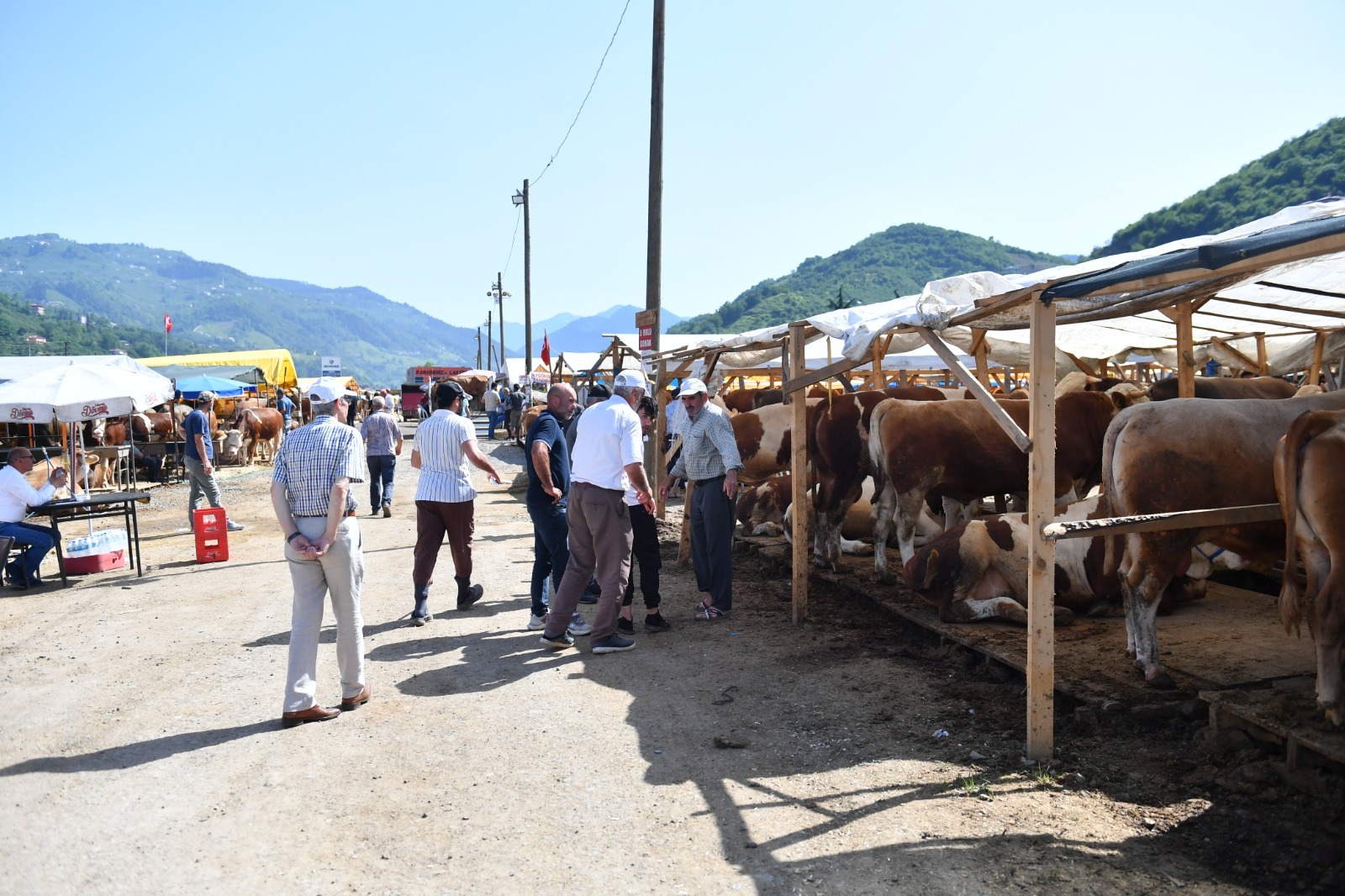 Başkan Kaya