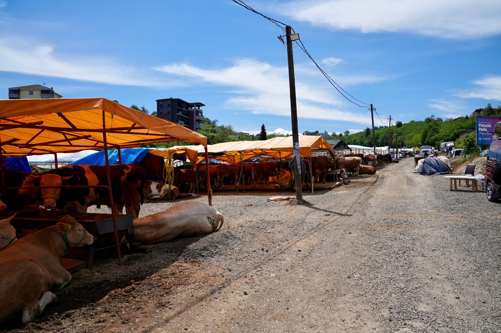 Trabzon Ortahisar Belediyesi